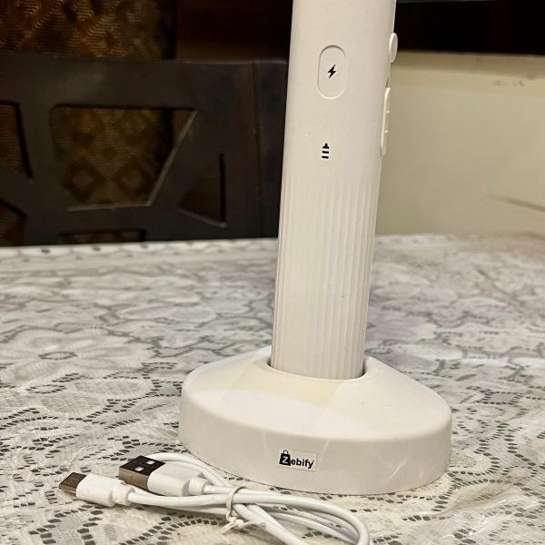 Eco-Friendly Mosquito Killer Ratchet Bat